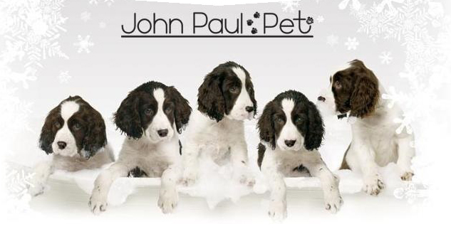 Johnpaulpet 即効ディタングリング ブラッシングスプレー236 6ml 全犬種 猫用