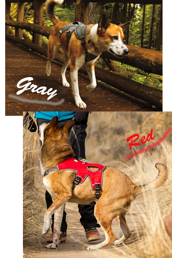 RUFFWEAR・ラフウェア】ウェブマスターハーネス