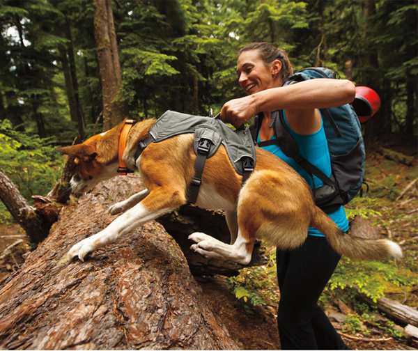 RUFFWEAR・ラフウェア】ウェブマスターハーネス